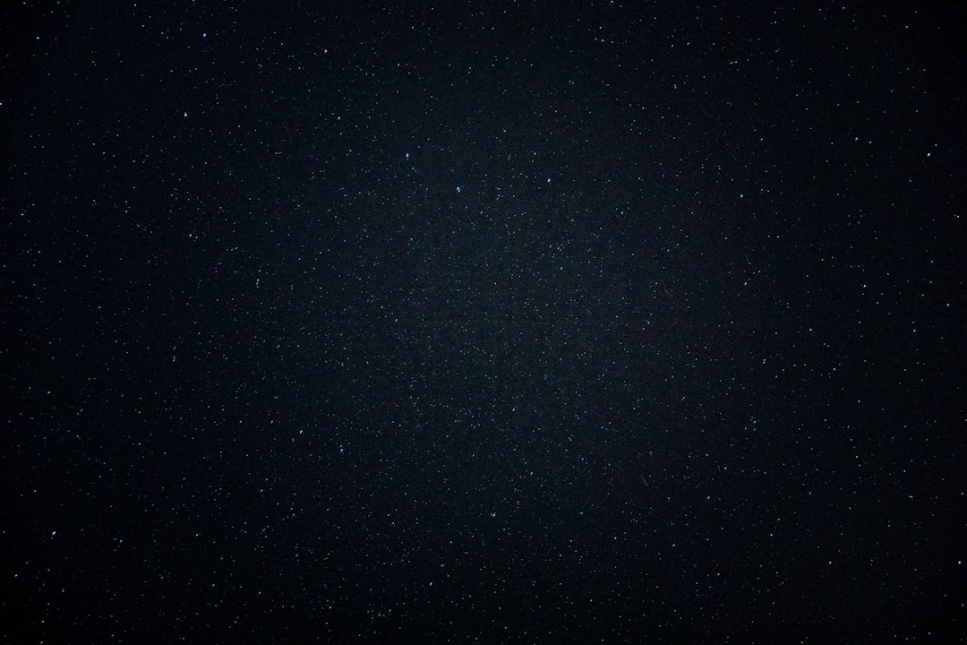 Photo Black high-waisted jeans