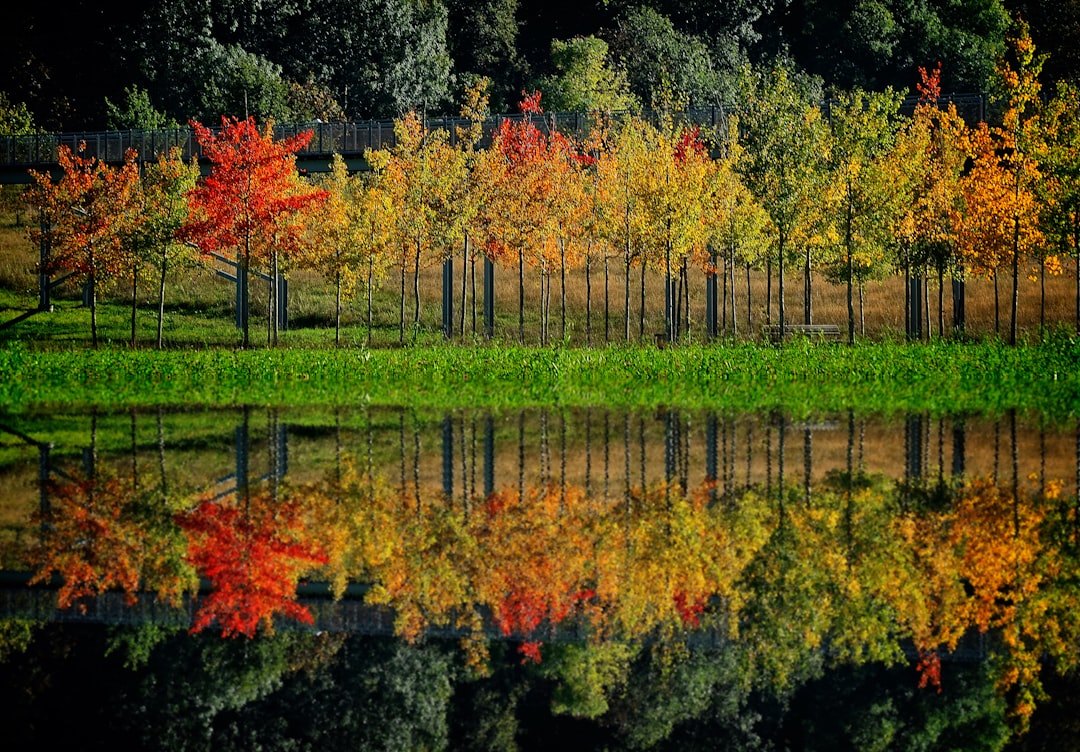 Photo matching colors